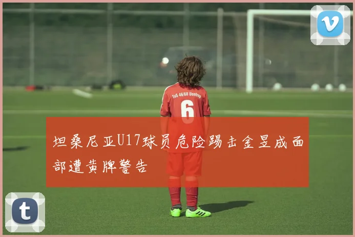 坦桑尼亚U17球员危险踢击金昱成面部遭黄牌警告