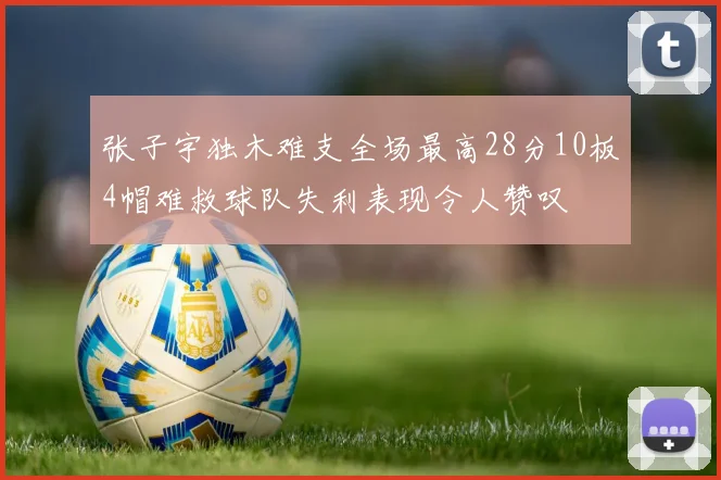 张子宇独木难支全场最高28分10板4帽难救球队失利表现令人赞叹